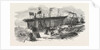 Launch of the Marion Macintyre, and Part of the Ship Iron Frame, at Messrs Jordan and Getley's Building Yard Liverpool by Anonymous