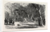 Foot Race at Bayswater, London by Anonymous