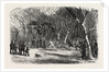 Foot Race at Bayswater, London by Anonymous
