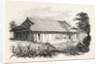 Dr Bettelheim's Residence, Loo Choo, Chinese Seas. Loo-Choo Islands, Ryukyu Islands by Anonymous
