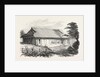 Dr Bettelheim's Residence, Loo Choo, Chinese Seas. Loo-Choo Islands, Ryukyu Islands by Anonymous