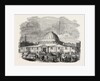 The Building in Leicester Square, London, for Mr. Wyld's Model of the Earth by Anonymous