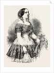 Mdlle. Elena Angri,1821/1824-1886, of the Royal Italian Opera, Covent Garden, London by Anonymous