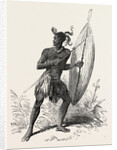 Zulu Warrior, Kaffraria, South Africa by Anonymous