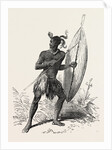 Zulu Warrior, Kaffraria, South Africa by Anonymous