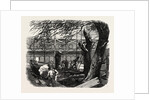 The Great Exhibition Building, the Crystal Palace, Hyde Park, London, Cutting Down Trees in the North Transept by Anonymous