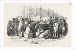 Arrival of Emigrants at Cork, a Scene on the Quay, Ireland by Anonymous
