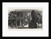 Emigration Vessel, Between Decks by Anonymous
