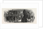 Emigration Vessel, Between Decks by Anonymous