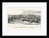 Race Horses Starting at the Derby by Anonymous