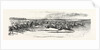 Race Horses Starting at the Derby by Anonymous