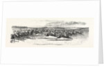 Race Horses Starting at the Derby by Anonymous
