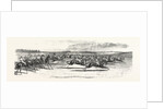 Race Horses Starting at the Derby by Anonymous