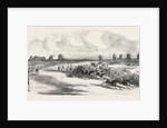 Race Horses Going Round Tattenham Corner by Anonymous