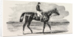 Epsom Races: Teddington, the Winner of the Derby, UK, Horse Racing, Equestrian by Anonymous