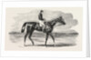 Epsom Races: Teddington, the Winner of the Derby, UK, Horse Racing, Equestrian by Anonymous