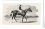 Epsom Races: Teddington, the Winner of the Derby, UK, Horse Racing, Equestrian by Anonymous