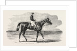 Epsom Races: Teddington, the Winner of the Derby, UK, Horse Racing, Equestrian by Anonymous