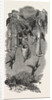 Humming Birds, from Mr. Gould's Collection, in the Gardens of the Zoological Society, Regent's Park, London by Anonymous