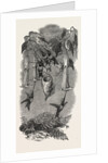 Humming Birds, from Mr. Gould's Collection, in the Gardens of the Zoological Society, Regent's Park, London by Anonymous