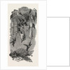Humming Birds, from Mr. Gould's Collection, in the Gardens of the Zoological Society, Regent's Park, London by Anonymous
