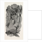 Humming Birds, from Mr. Gould's Collection, in the Gardens of the Zoological Society, Regent's Park, London by Anonymous