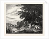The Bridgewater Gallery, Milking Cows, 1620-1691, Dutch Painter by Anonymous