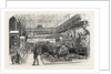 The Canadian Court, Crystal Palace, the Great Exhibition, Hyde Park, London by Anonymous