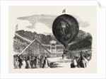 Ascent of Mr. Hampton's Erin-Go-Bragh Balloon, at Batty's Royal Hippodrome, Kensington, London by Anonymous