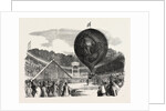 Ascent of Mr. Hampton's Erin-Go-Bragh Balloon, at Batty's Royal Hippodrome, Kensington, London by Anonymous