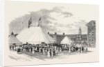 Grand Musical Festival and Fancy Fair in the Gardens of Chelsea College, in Aid of the Consumption Hospital, at Brompton by Anonymous