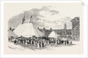 Grand Musical Festival and Fancy Fair in the Gardens of Chelsea College, in Aid of the Consumption Hospital, at Brompton by Anonymous