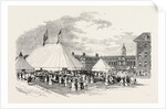 Grand Musical Festival and Fancy Fair in the Gardens of Chelsea College, in Aid of the Consumption Hospital, at Brompton by Anonymous