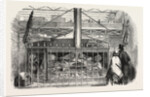 The Great Exhibition, Crystal Palace, Hyde Park, London: Jewels, in the East India Company's Department, North Side of Nave by Anonymous