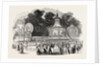 Cremorne Gardens, the Orchestra, London; Pleasure Ground, Entertainment by Anonymous