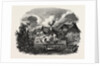 Wells, in Upper Austria, a Woodcut in the Austrian Printing Establishment by Anonymous