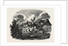 Wells, in Upper Austria, a Woodcut in the Austrian Printing Establishment by Anonymous