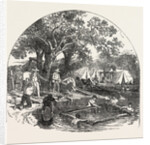 Formation of a Bridge by the Mormons by Anonymous