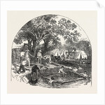 Formation of a Bridge by the Mormons by Anonymous