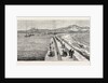 Inauguration of the Holyhead Breakwater and Harbour of Refuge by H.R.H. The Prince of Wales: View of the Head from the Breakwater, Wales by Anonymous