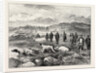 Pointer and Setter Grouse Trials at Rhiwlas, North Wales: General View of the Ground by Anonymous