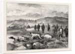 Pointer and Setter Grouse Trials at Rhiwlas, North Wales: General View of the Ground by Anonymous