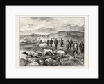 Pointer and Setter Grouse Trials at Rhiwlas, North Wales: General View of the Ground by Anonymous