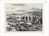 Pointer and Setter Grouse Trials at Rhiwlas, North Wales: General View of the Ground by Anonymous