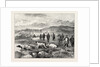 Pointer and Setter Grouse Trials at Rhiwlas, North Wales: General View of the Ground by Anonymous