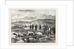 Pointer and Setter Grouse Trials at Rhiwlas, North Wales: General View of the Ground by Anonymous