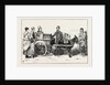 The Nobleman Organ Grinder Now on a Tour Through the Irish Provinces by Anonymous
