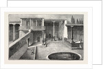 The Russian Expedition to Khiva: Pavilion Occupied by the Grand Duke Nicholas in the Khan's Gardens by Anonymous