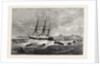 The Ashantee War: Landing the Forces for Sir Garnet Wolseley's Recent March on Dunquah, Anglo Ashanti War, Ghana by Anonymous