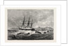The Ashantee War: Landing the Forces for Sir Garnet Wolseley's Recent March on Dunquah, Anglo Ashanti War, Ghana by Anonymous